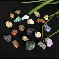 Boîte en cristal naturel vente en gros, coffret cadeau de Collection de minéraux de pierres précieuses rugueuses/