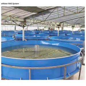 Garnalen Ras Aquacultuur Indoor Viskweeksysteem Apparatuur Met Beluchters Voor Visteelt Prijs
