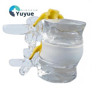 Anatomi Öğretimi için İntervertebral Disk Sıkıştırma Göstergeli Şeffaf İnsan Bel Omuru Modeli - Product Image 1