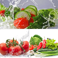 Laveuse de légumes commerciale JUYOU à bulles et vibrations, cuve unique, avec ozone, pour fruits et légumes à feuilles (citron, etc.)