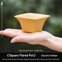Pot de fleurs carré en résine de style chinois avec plusieurs trous de drainage, jardinière pour usage domestique pour les plantes succulentes, les cactus, les bonsaïs