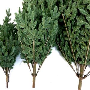 Nouveau Design Nordmann "ultra" Emulational Metal Frame 100% PE Navidad Fir Tree Arbol <span class=keywords><strong>De</strong></span> Navidad - Product Image 5