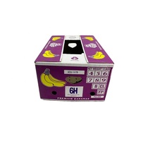 Vente en gros Boîte d'emballage pour fruits et légumes Boîte en carton ondulé Papier pour boîte d'expédition pour fruits Chiku