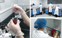 Pabrik Global grosir pemasok 350ml cangkir Gairah buah gelembung susu Boba minuman teh minuman untuk Smoothie minuman penutup