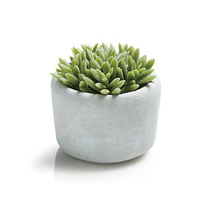 CHL 2020 En Gros mini pot de fleur en béton de ciment artisanat pour la décoration murale - Product Image 2
