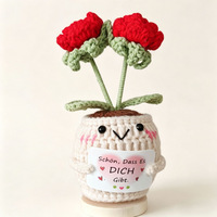 Décoration de table en laine tricotée à la main, motif cactus fleuri, pour petite plante, émotions positives, décoration intérieure