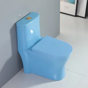 Produk Baru Desain Kelas Atas Warna Biru Terpasang Di Lantai Satu Bagian Toilet