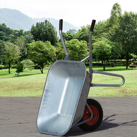 250kg 500kg Petite brouette à plat Chariot à main Camion agricole Mini Dumper Chariot pour jardin Béton