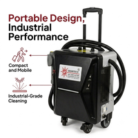 Machine de nettoyage au laser portable légère 120W 300W pour enlever la peinture et les revêtements des portes en bois