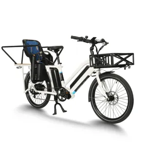 Dual Battery Long Range Ebike Electric Cargo Bike For Family 750w 500w Electric Bicycle