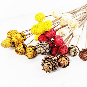 <span class=keywords><strong>Flora</strong></span> — fleurs décoratives d'intérieur pour la maison, vente en gros, motifs de cône de pin sec naturel, fournitures de fleurs pour bouquet, été - Product Image 6