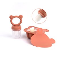 Ensemble de sucettes en silicone YLA sans BPA avec compartiment à glace et plateau pour fruits frais, moule à glace en forme de dessin animé pour l'alimentation aux fruits frais