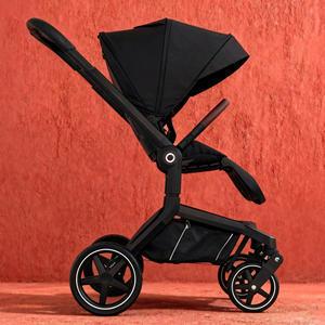 # Hàng mới về # Giá nhà máy Xe đẩy em bé thiết kế mới sang trọng để bán/EN1888 Xe đẩy em bé bán buôn 3 trong 1/Xe đẩy em bé chất lượng tốt - Product Image 2