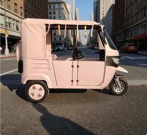 EEC COC Tows E <strong>Trike</strong> Passenger EEC Electric Passenger Tricycle Sightseeing Vehicle - Product Image 5