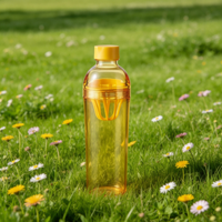 Bouteilles d'eau Longstar transparentes en PC 260ml/500ml sans BPA, anti-fuite, réutilisables, écologiques, pour la gym et les voyages, avec infuseur à thé, pour eau bouillante