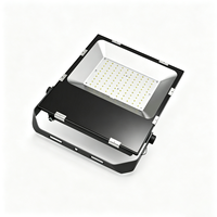 Iluminación LED para Exteriores, IP65, Carcasa de Aluminio, Venta al por Mayor de Fábrica, Diseño Personalizado Aceptado, Luz de Seguridad de Alto Lumen