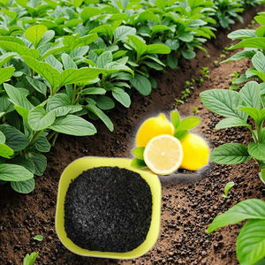 خصم اليابانية مستخلص الأعشاب البحرية للبيع - Product Image 5