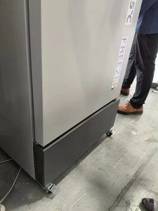 Réfrigérateur ultra-profond 308L, congélateur biomédical à très basse température (-40 degrés) pour laboratoire - Product Image 2