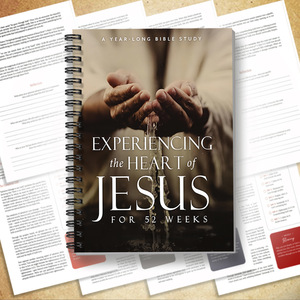 Guía de Estudio y <span class=keywords><strong>Libro</strong></span> de Trabajo para Principiantes con 52 Historias - Cuaderno Organizador con Espiral para Uso en la Oficina - Product Image 6