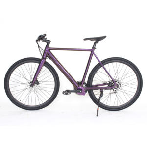 Vélo électrique de type <span class=keywords><strong>Vanmoof</strong></span> personnalisé, vélo de gravier, frein hydraulique, vélo adulte, moteur de moyeu 250W, vélo électrique de route 700C - Product Image 1