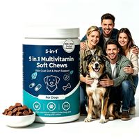 Compléments multivitaminés 5-en-1 personnalisés sous forme de friandises à mâcher pour chiens : Soutien cutané, pelliculaire, digestif et cardiaque – 120 comprimés – Marque privée OEM