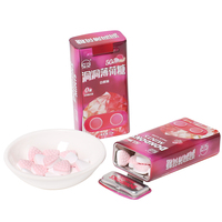 Marque privée Xylitol sans sucre Bonbons à la menthe Comprimés à la menthe fortement aromatisés dans une boîte en fer blanc Personnalisable Marque privée