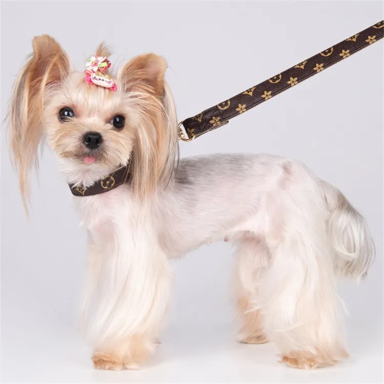 Tali kerah anjing desainer cetak klasik PU kulit mewah Fashion aksesoris hewan peliharaan