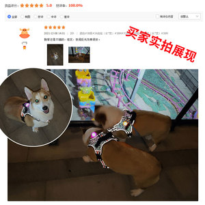 Harnais réfléchissant pour animaux de compagnie, réglable, respirant, durable, sangle de poitrine pour grand chien avec bande réfléchissante pour les promenades en plein air - Product Image 2