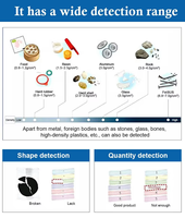 Fabricación en Fábrica de Máquinas de Rayos X Visuales para Líneas de Producción de Pruebas de Alimentos / Detectores de Rayos X para Procesamiento de Alimentos