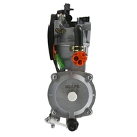 Kit de conversion GPL Hon Da 188F NG personnalisé en gros pour générateur à essence GX390 5,8 kW, carburateur double carburant pour motos