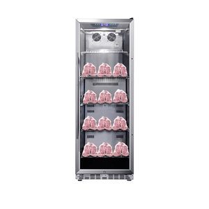 <span class=keywords><strong>Réfrigérateur</strong></span> commercial portable pour viande vieillie à sec avec bloc de sel pour usage domestique - Product Image 1