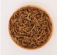 Vers de farine jaunes séchés 100% naturels riches en protéines pour oiseaux, poulets, reptiles et poissons Emballage OEM personnalisé disponible