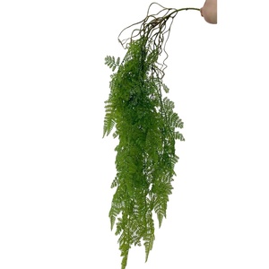 Plantas Artificiales de Seda Colgantes, Arreglos de Pared, Musgo Persa, Plantas Aéreas, Instalaciones de Jardín Vertical para Interiores - Product Image 5