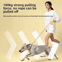 Laisse de chien rétractable automatique 3D en forme de dessin animé, laisse de marche pour chiens de taille moyenne et petite, chaîne en ABS pour animaux de compagnie Teddy