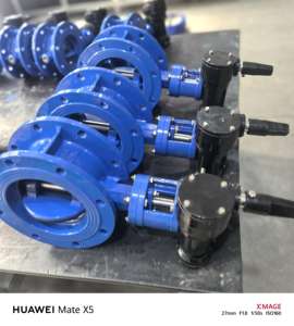 オイル/ガス/水手動ワームギア操作式設計圧力10Bar用プロのフッ素ライニング (VITON/PTFE) バタフライバルブ - Product Image 4