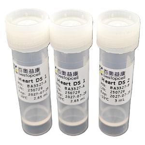 Herz dissoziation skit (10 <span class=keywords><strong>TEST</strong></span>) Dissoziation des Gewebes für die Forschung ISO 9001 BA3327 - Product Image 4