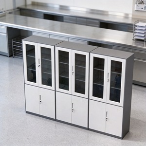Armoire de laboratoire en acier avec portes vitrées pour le rangement de bureau, design industriel, usage commercial - Product Image 1