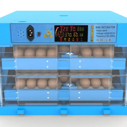 Incubadora elegante de ovos, incubadora azul 120, ovos de galinha 120, para venda