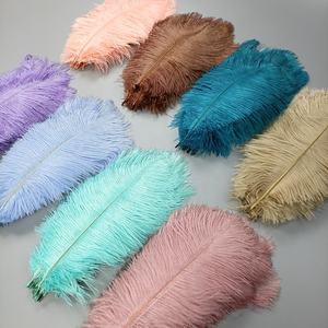 Großhandel Gemusterte Gefärbte Straußenfedern 20-25cm 10+ Farben Bestes Preis-Leistungs-Verhältnis Hochzeit Karneval Party Dekorationen Festliche Bastelarbeiten - Product Image 1