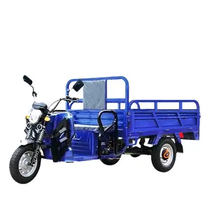 Electric Moped Three wheel electric cargo vehicle bajaj 3 wheel EEC COC Classic Hot Selling 3 Wheel Electric For Sale