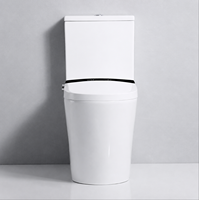 WC intelligent de luxe à deux pièces avec eau chauffée instantanée, télécommande et double filtration