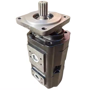 Pompe à engrenages hydraulique double en fonte noire mate antirouille monobloc, vente en gros en vrac de l'usine HUAMAO - Product Image 2