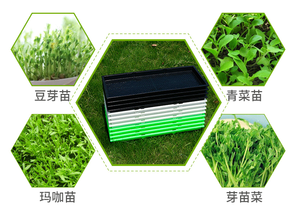 Bandeja Microgreen suministrada <span class=keywords><strong>de</strong></span> fábrica para plántulas cuadradas Sistema <span class=keywords><strong>de</strong></span> aeroponía vertical Tipo <span class=keywords><strong>de</strong></span> paquete <span class=keywords><strong>de</strong></span> bandeja <span class=keywords><strong>de</strong></span> germinación <span class=keywords><strong>de</strong></span> vivero <span class=keywords><strong>de</strong></span> plástico - Product Image 6