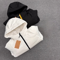 Veste en duvet pour homme, design classique de haute qualité, luxe léger, vestes en duvet d'hiver, coupe-vent, à capuche, imperméable, adaptée aux activités de plein air