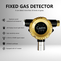 Detector de Fugas de Gas Combustible Fijo ExdIICT6 IP66 GTYQ-CA228 con Sensor Importado para Petroquímica, Restaurantes y Calderas