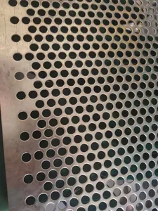 Aluminio níquel 304 316 316l 2205 2507 Acero inoxidable malla metálica perforada Placa de perforación de metal