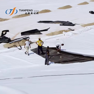 Réseau de drainage composite 3d Filet de drainage géocomposite en plastique pour le drainage <span class=keywords><strong>ferroviaire</strong></span> - Product Image 2