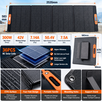 Chargeur solaire mobile 300W, panneau flexible BC, sortie haute tension 42V pour la charge de stations d'alimentation portables