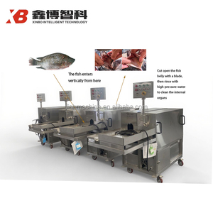 Máquina de limpieza de intestino de pescado de fácil operación/Máquina de escamado y eviscerado de pescado/Máquina removedora de escamas de pescado - Product Image 3
