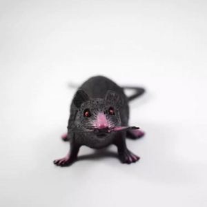 22CM Plastic Mouse Gray Black White Model Prank Toy Cat Teasing <b>Pet</b> Supplies - Product Image 4